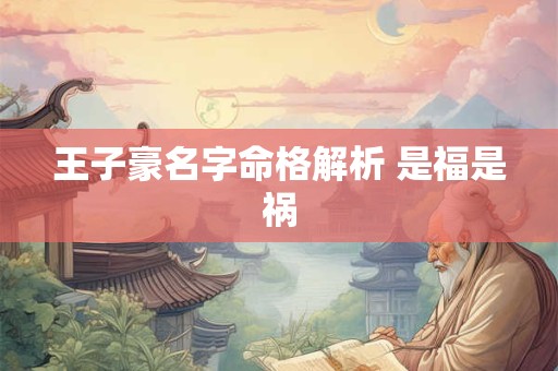王子豪名字命格解析 是福是祸