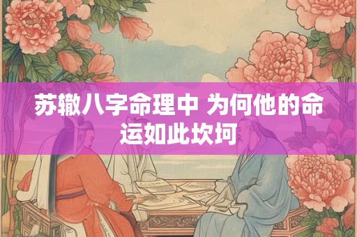 苏辙八字命理中 为何他的命运如此坎坷