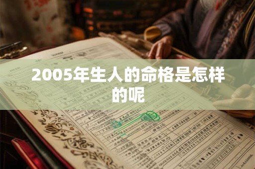 2005年生人的命格是怎样的呢
