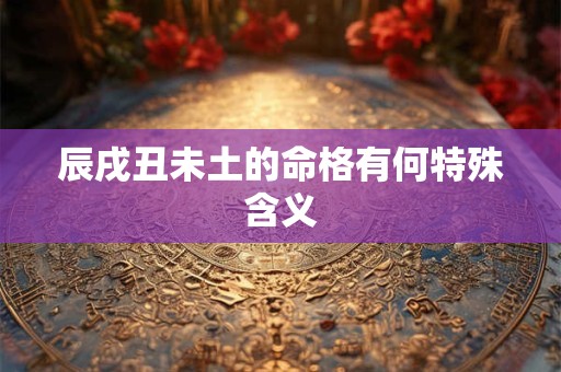 辰戌丑未土的命格有何特殊含义