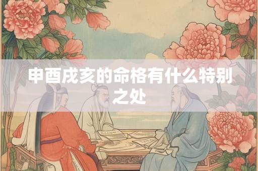 申酉戌亥的命格有什么特别之处