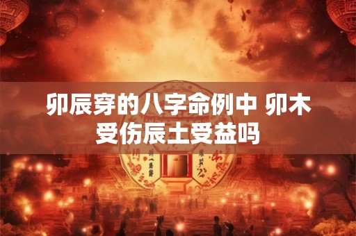 卯辰穿的八字命例中 卯木受伤辰土受益吗