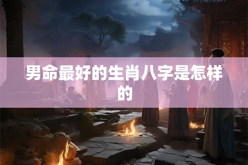 男命最好的生肖八字是怎样的