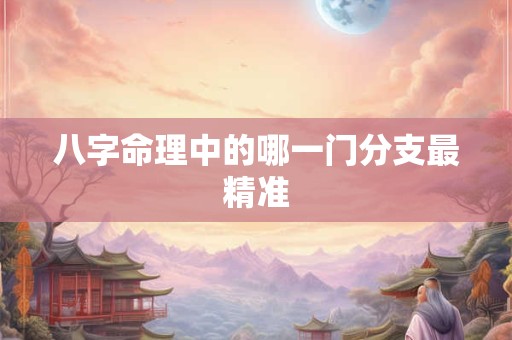 八字命理中的哪一门分支最精准