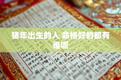 猪年出生的人 命格好的都有谁呢 猪年出生的人 命格好的都有谁呢