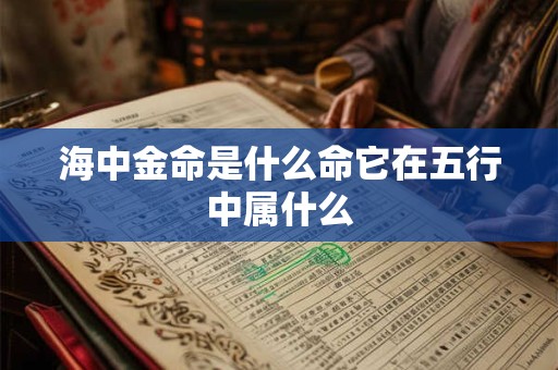 海中金命是什么命它在五行中属什么
