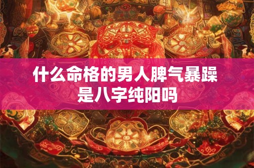 什么命格的男人脾气暴躁 是八字纯阳吗