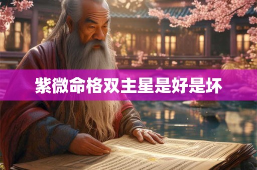 紫微命格双主星是好是坏