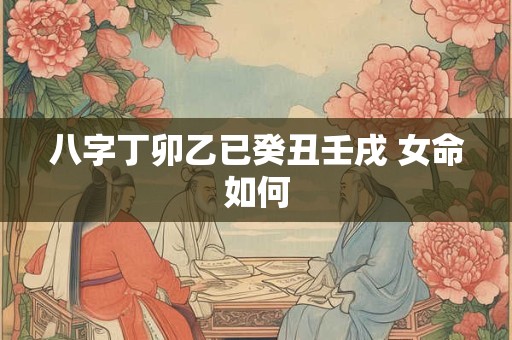 八字丁卯乙已癸丑壬戌 女命如何