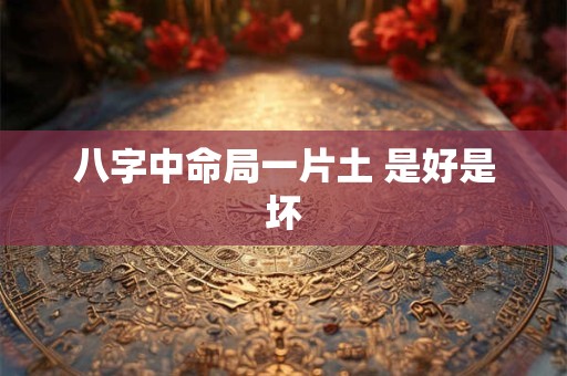 八字中命局一片土 是好是坏