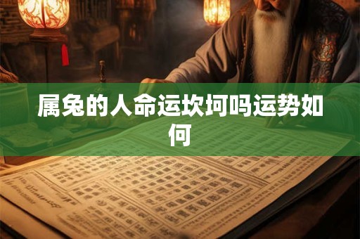 属兔的人命运坎坷吗运势如何