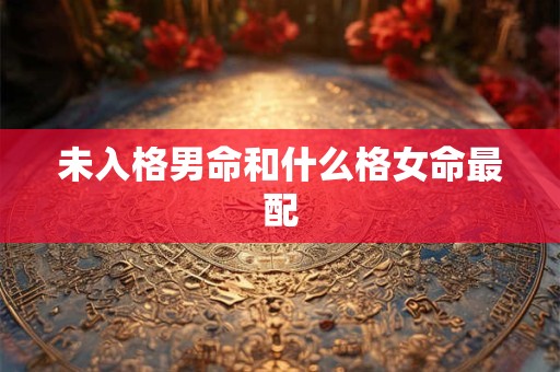 未入格男命和什么格女命最配