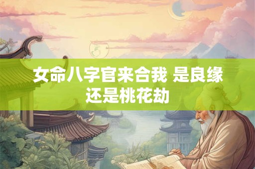 女命八字官来合我 是良缘还是桃花劫