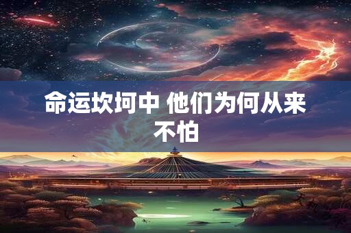 命运坎坷中 他们为何从来不怕