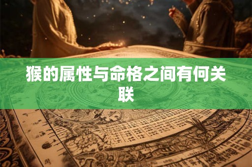 猴的属性与命格之间有何关联