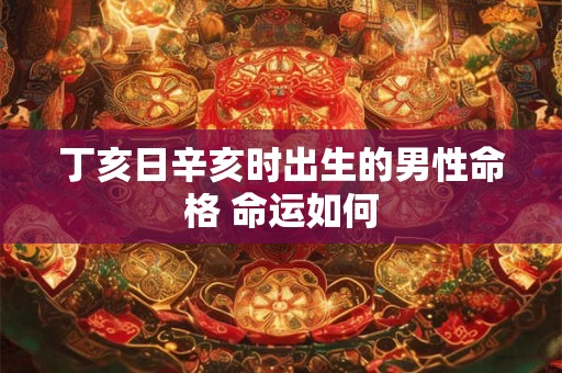 丁亥日辛亥时出生的男性命格 命运如何