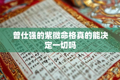 曾仕强的紫微命格真的能决定一切吗