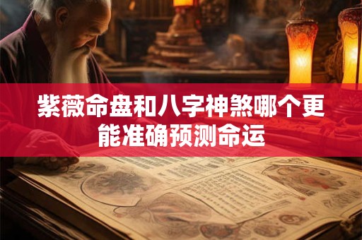 紫薇命盘和八字神煞哪个更能准确预测命运