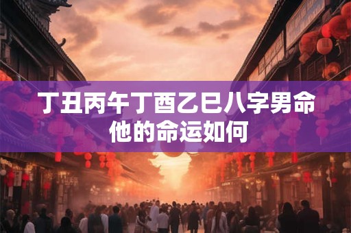 丁丑丙午丁酉乙巳八字男命 他的命运如何