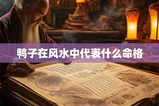 鸭子在风水中代表什么命格