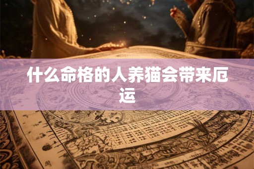 什么命格的人养猫会带来厄运