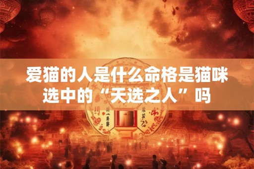 爱猫的人是什么命格是猫咪选中的“天选之人”吗