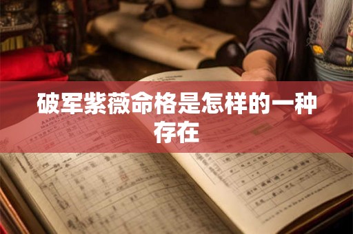 破军紫薇命格是怎样的一种存在
