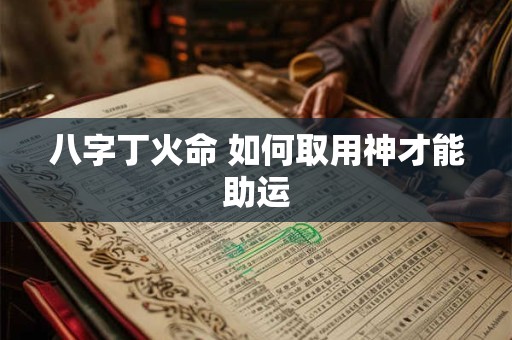 八字丁火命 如何取用神才能助运