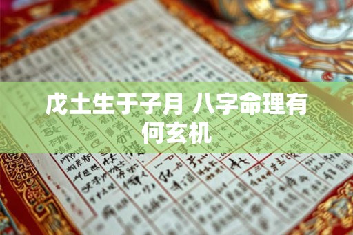 戊土生于子月 八字命理有何玄机