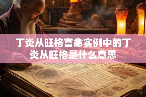 丁炎从旺格富命实例中的丁炎从旺格是什么意思