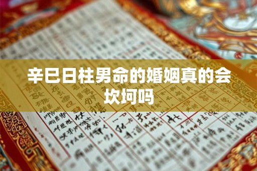 辛巳日柱男命的婚姻真的会坎坷吗