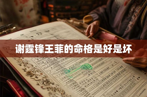 谢霆锋王菲的命格是好是坏