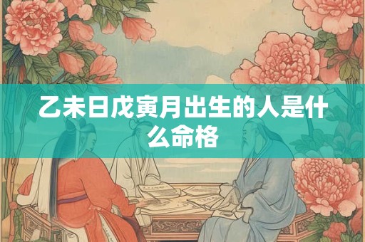 乙未日戊寅月出生的人是什么命格