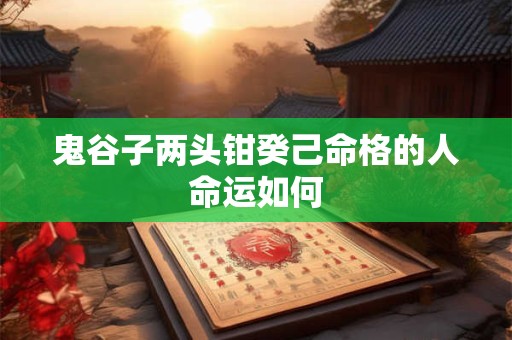 鬼谷子两头钳癸己命格的人命运如何
