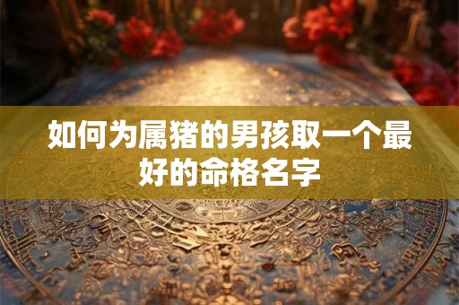 如何为属猪的男孩取一个最好的命格名字