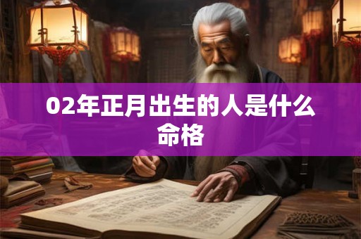 02年正月出生的人是什么命格