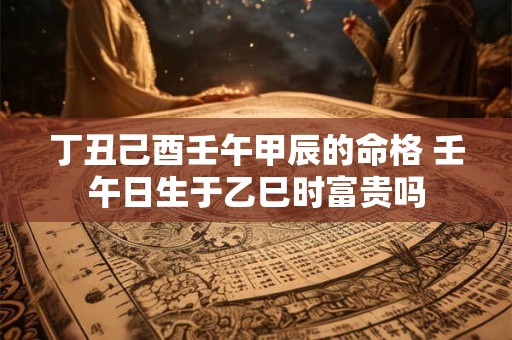 丁丑己酉壬午甲辰的命格 壬午日生于乙巳时富贵吗
