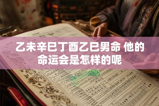 乙未辛巳丁酉乙巳男命 他的命运会是怎样的呢