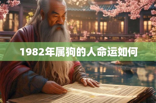 1982年属狗的人命运如何