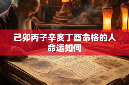 己卯丙子辛亥丁酉命格的人命运如何
