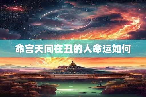 命宫天同在丑的人命运如何