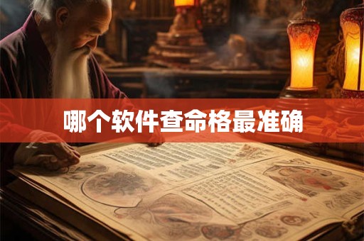 哪个软件查命格最准确