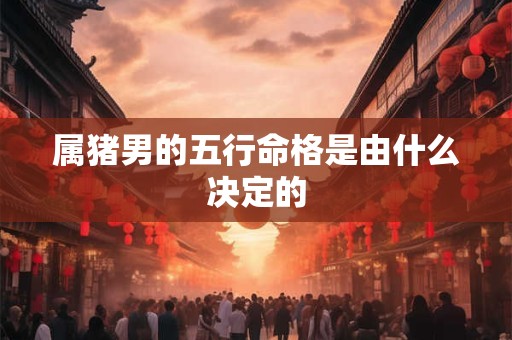 属猪男的五行命格是由什么决定的