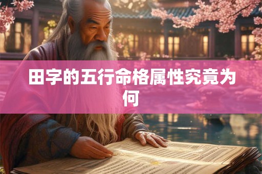 田字的五行命格属性究竟为何