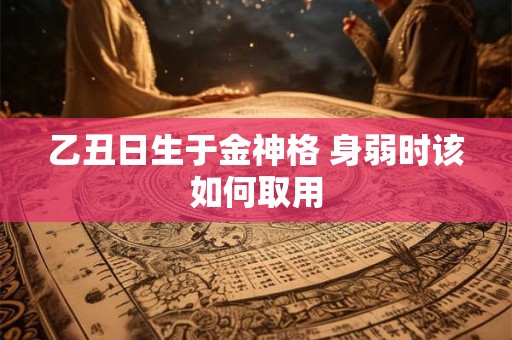 乙丑日生于金神格 身弱时该如何取用