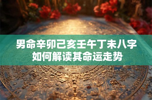 男命辛卯己亥壬午丁未八字 如何解读其命运走势