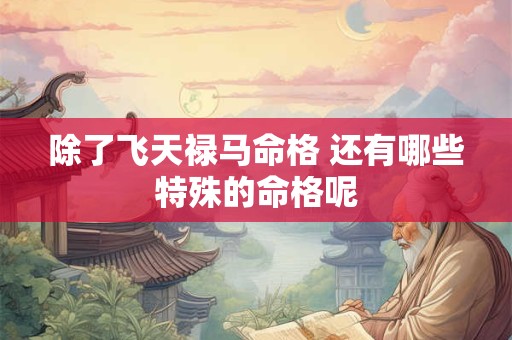 除了飞天禄马命格 还有哪些特殊的命格呢