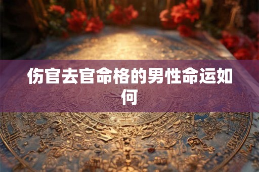 伤官去官命格的男性命运如何