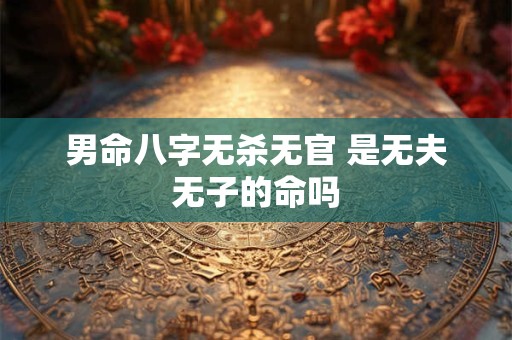 男命八字无杀无官 是无夫无子的命吗