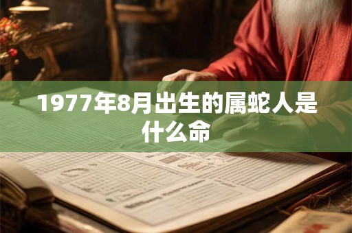 1977年8月出生的属蛇人是什么命